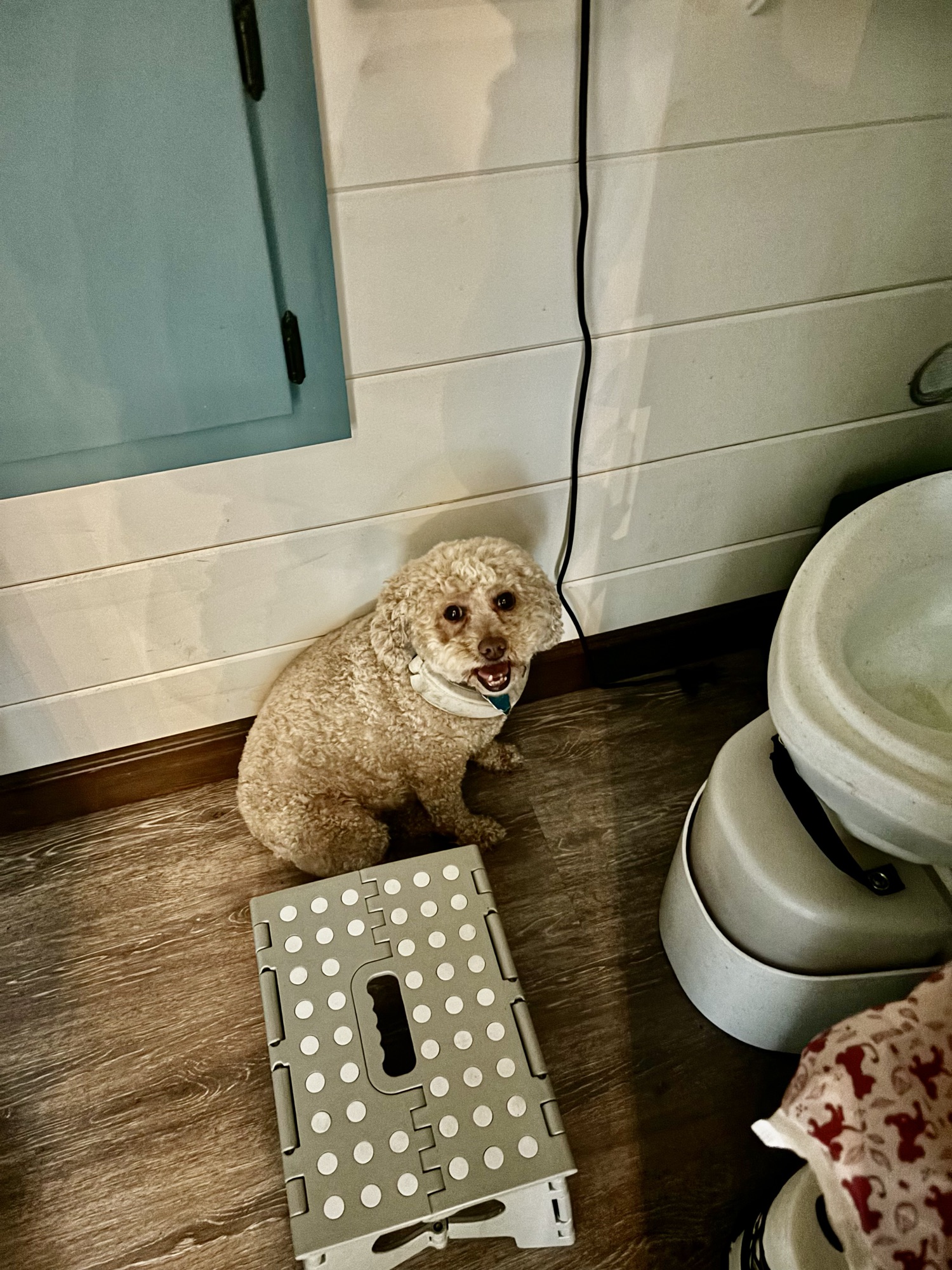 What about the đŸ’©?!