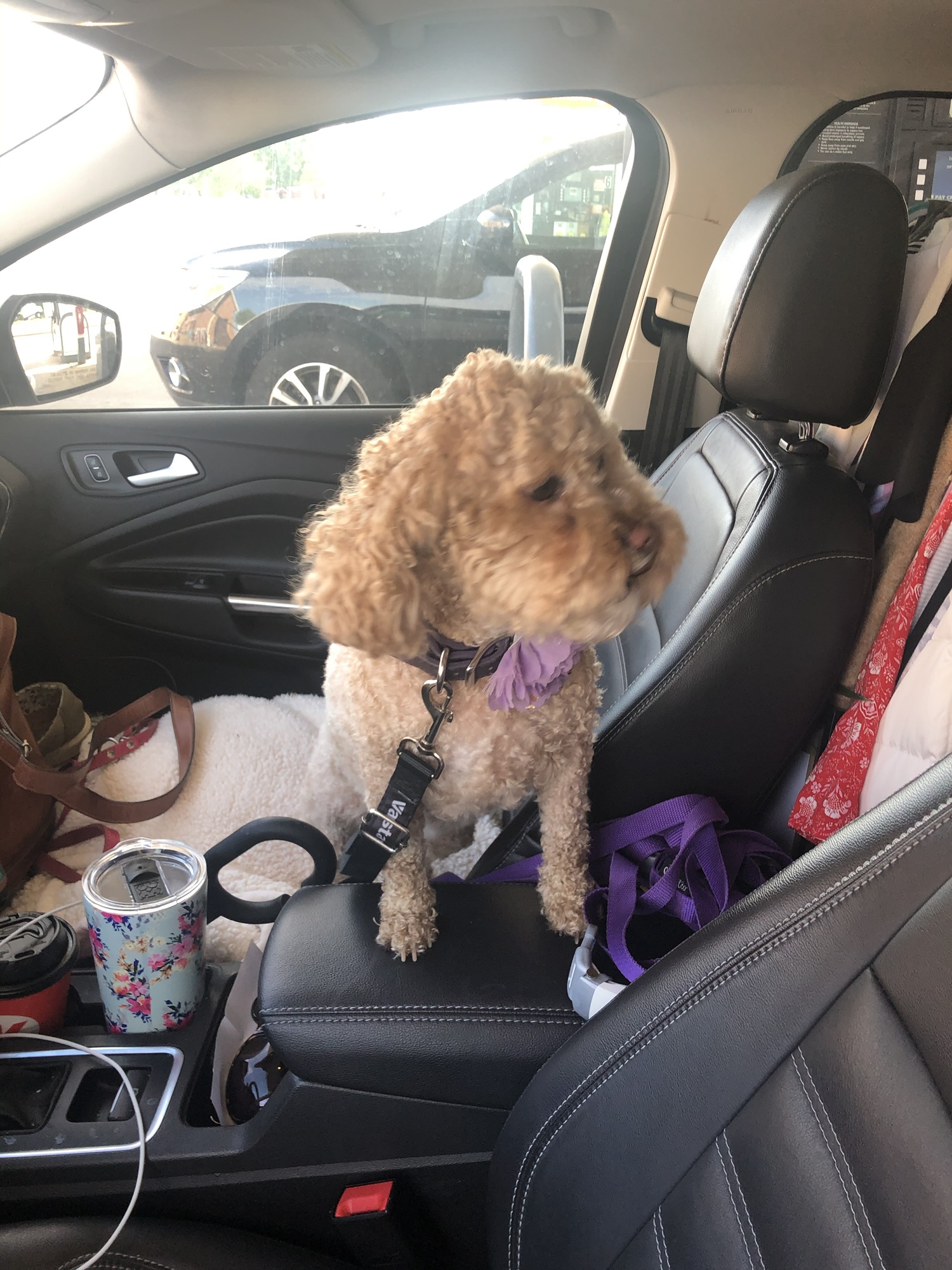 Some things aren’t meant to last forever.