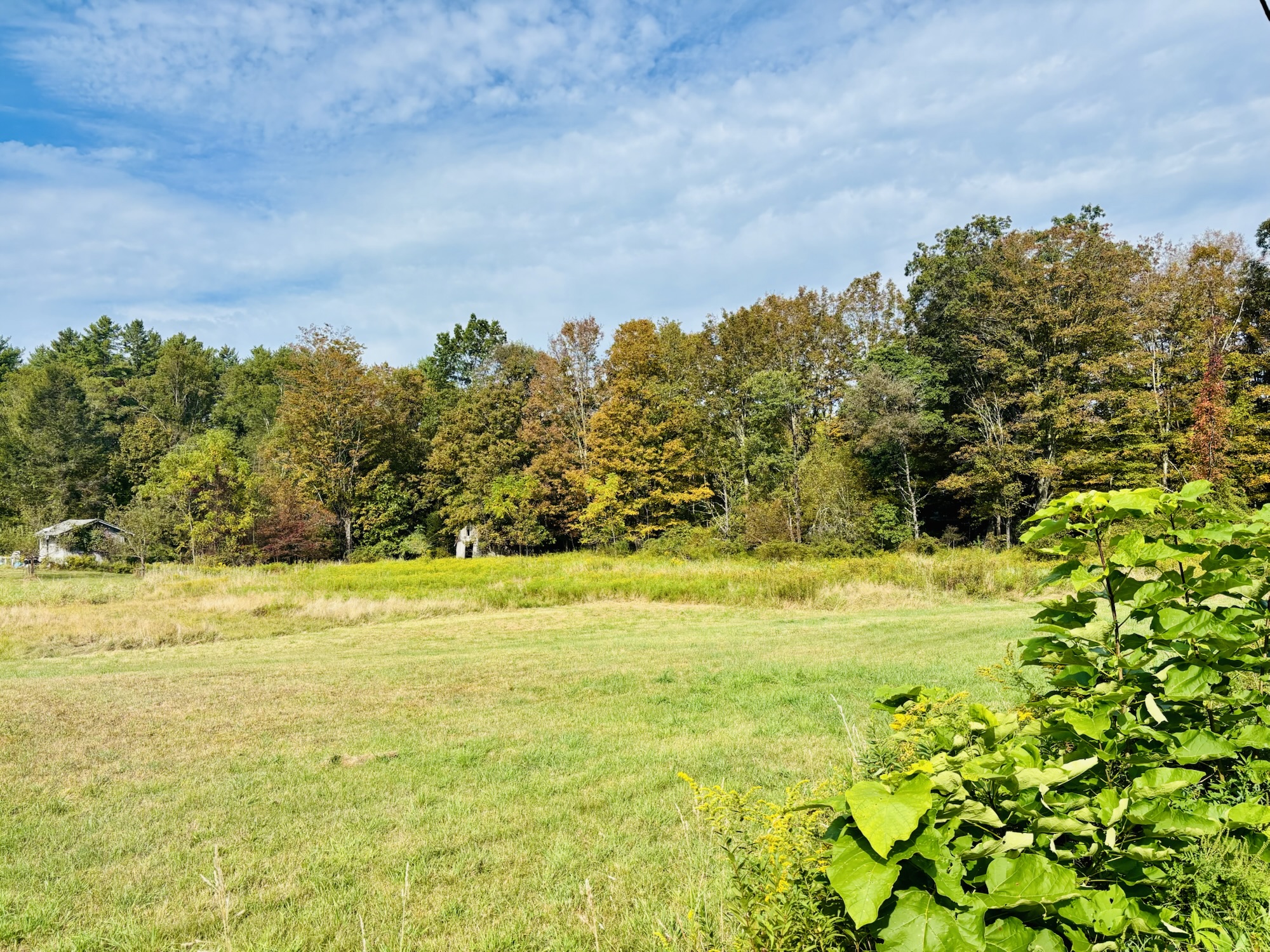 Nothing Ordinary about it